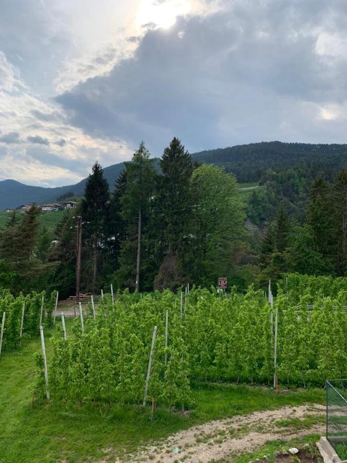 Agritur Maso Forcola Villa Brez Kültér fotó
