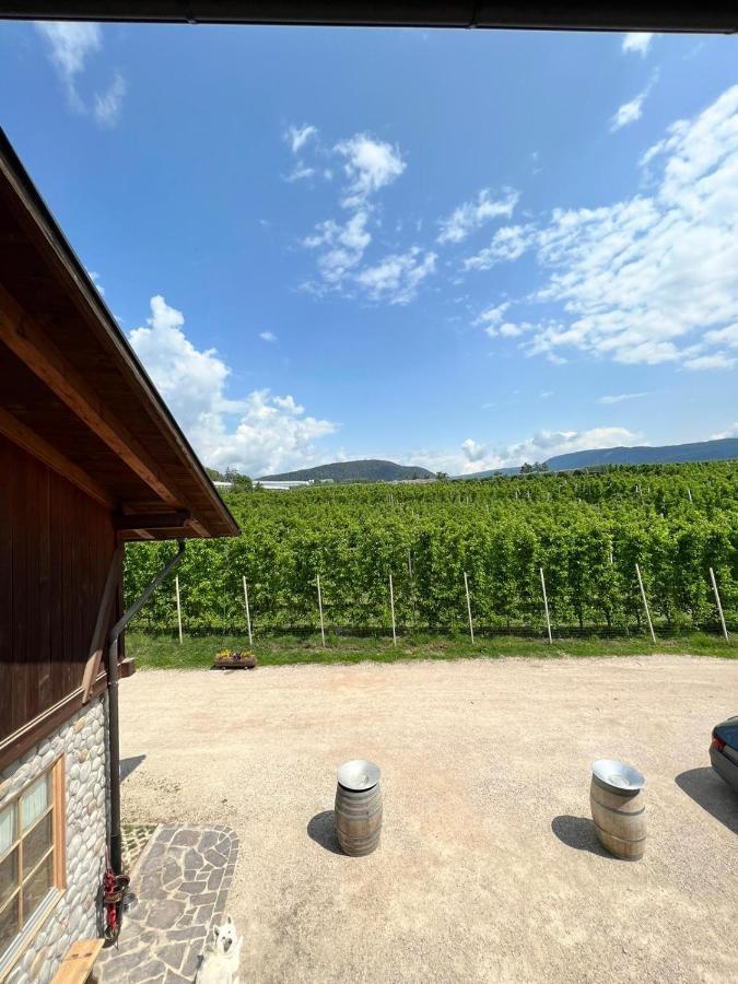 Agritur Maso Forcola Villa Brez Kültér fotó